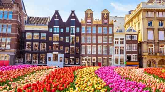 מקומות מומלצים לבקר באמסטרדם